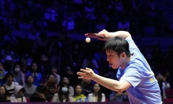 樊振东下半年真的“活”了！德甲开售立马售罄，热情根本挡不住